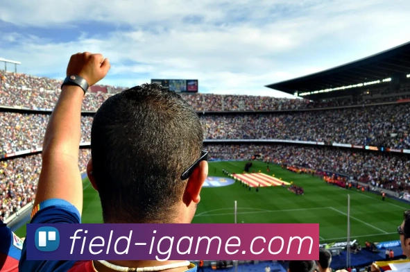 爱游戏品牌故事