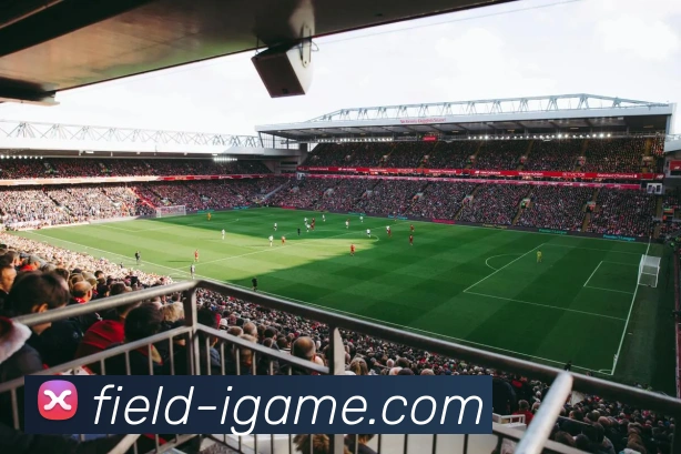 爱游戏服务体系